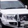 White Toyota 200 Series Landcruiser With Protector Bar